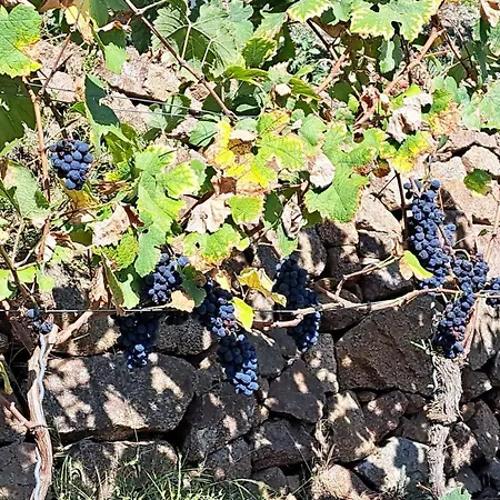 Am Elberadweg 3* Радебойль