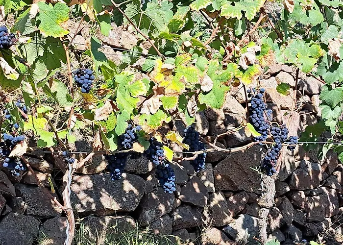 Am Elberadweg 3* راديبول