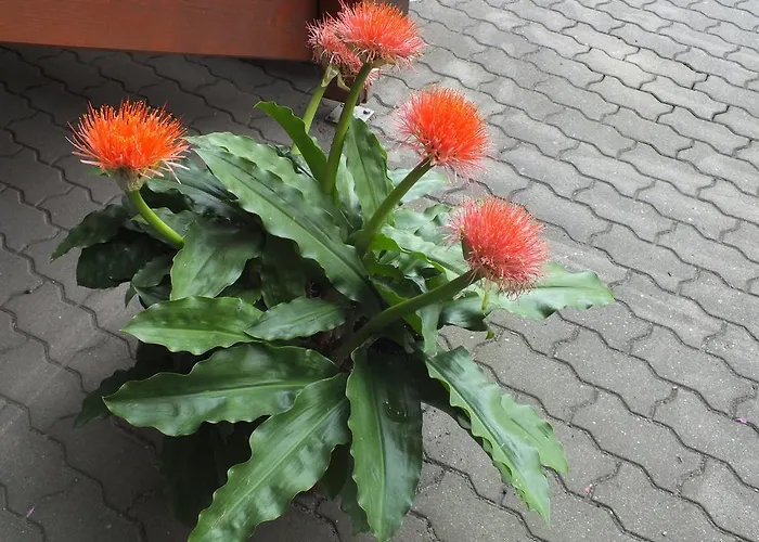 Am Elberadweg Guest house 3*